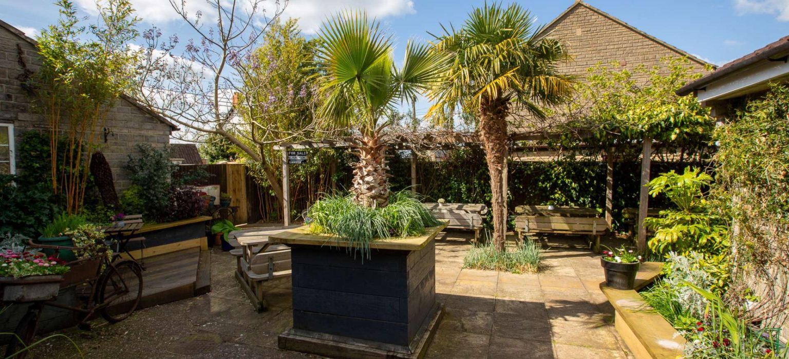The courtyard garden with palms and seating